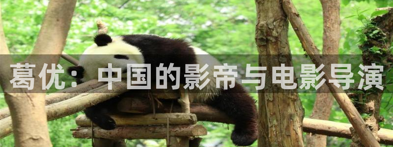 好看影院在线观看电影：葛优：中国的影帝与电影导演