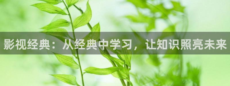 好看影院：影视经典：从经典中学习，让知识照亮未来