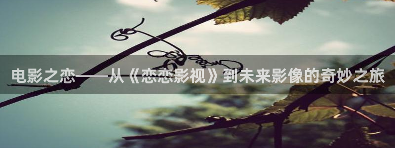 好看影院：电影之恋——从《恋恋影视》到未来影像的奇妙之旅