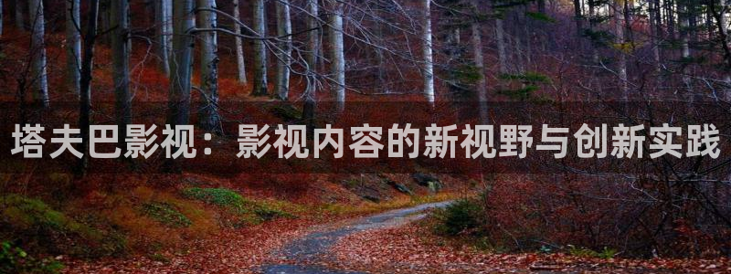 《四库影视》电视剧在线观看-好看影院：塔夫巴影视：影视内容的新视野与创新实践