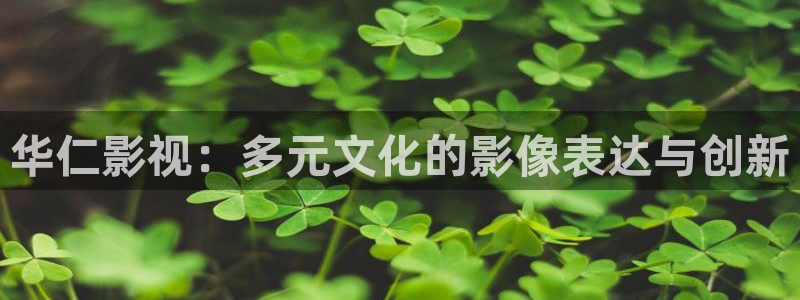 好好看影院：华仁影视：多元文化的影像表达与创新