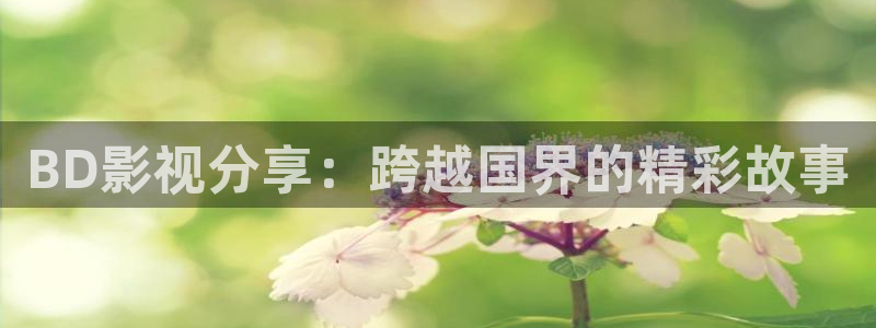 好看影院大全：BD影视分享：跨越国界的精彩故事