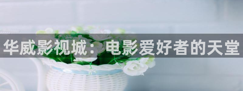 好看影院：华威影视城：电影爱好者的天堂