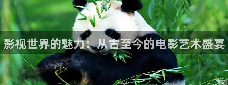 好看影院：影视世界的魅力：从古至今的电影艺术盛宴