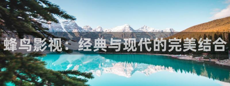 好好看影院：蜂鸟影视：经典与现代的完美结合