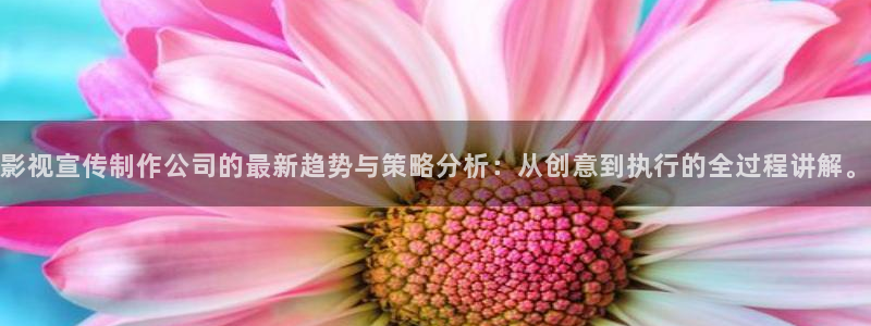 四虎好看影院：影视宣传制作公司的最新趋势与策略分析：从创意到执行的全过程讲解。